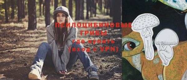 хмурый Нея