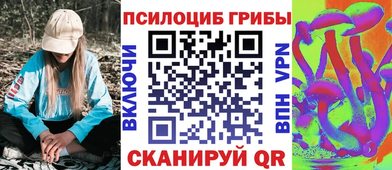 Галлюциногенные грибы ЛСД Купить закладки Ростов