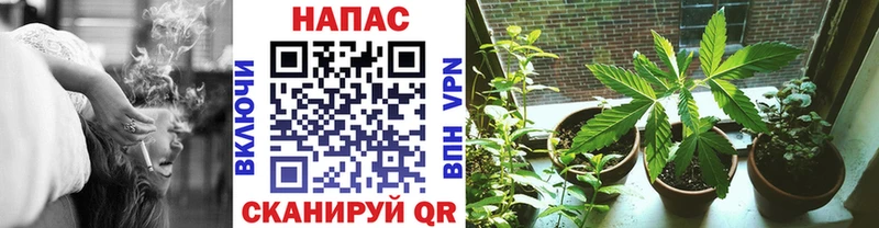 Конопля конопля  Купить закладки  Ростов 